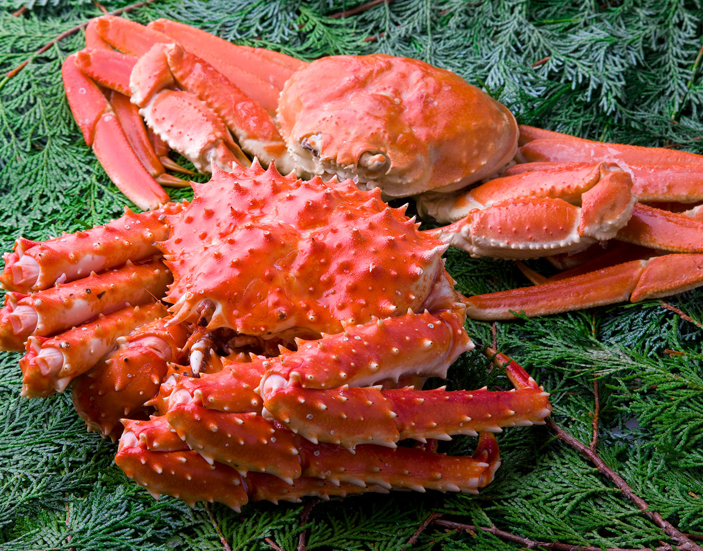 Snow Crab Market Price 2022 How do you Price a Switches?
